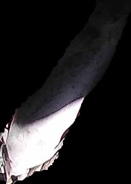 Crop