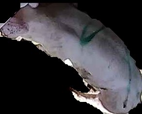 Crop