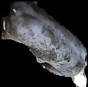 Crop