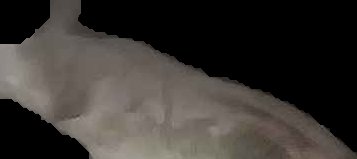 Crop