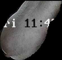 Crop