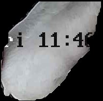 Crop