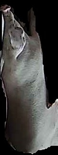 Crop