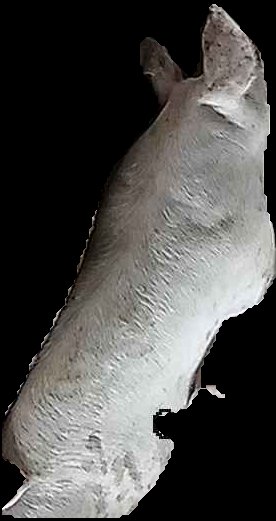 Crop