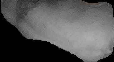 Crop