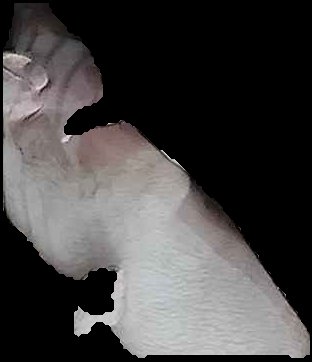 Crop
