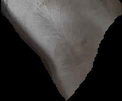 Crop