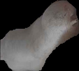 Crop