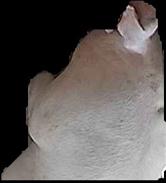 Crop