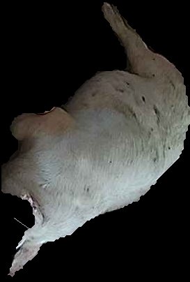 Crop