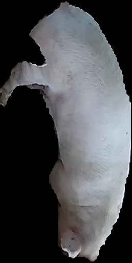 Crop