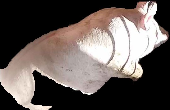 Crop