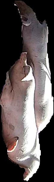 Crop