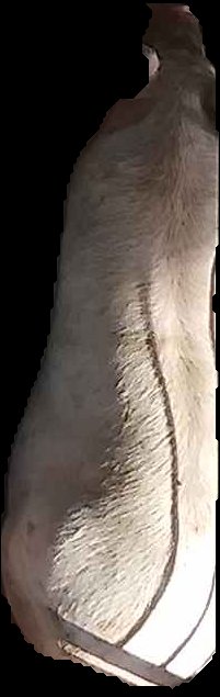 Crop