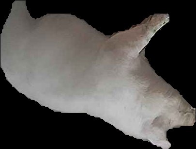 Crop