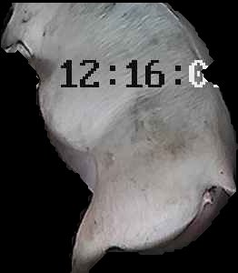 Crop