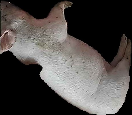 Crop
