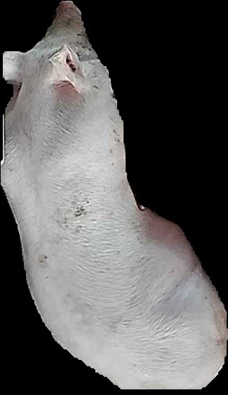Crop