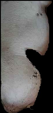 Crop