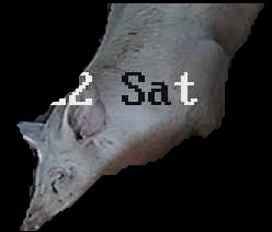 Crop