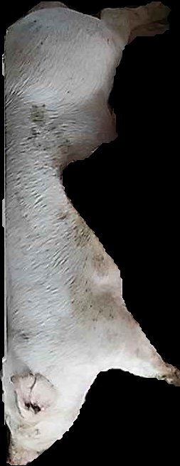 Crop