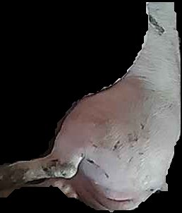Crop
