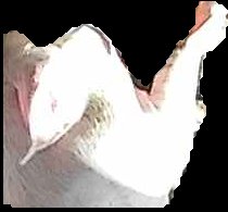 Crop