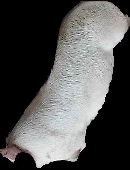 Crop