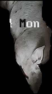 Crop