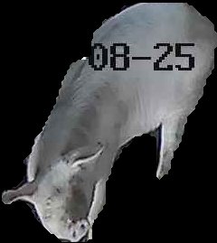 Crop