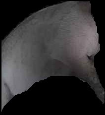 Crop