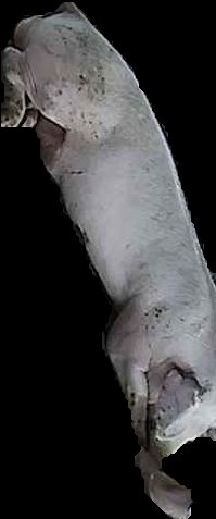 Crop
