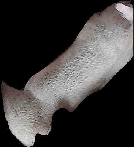Crop