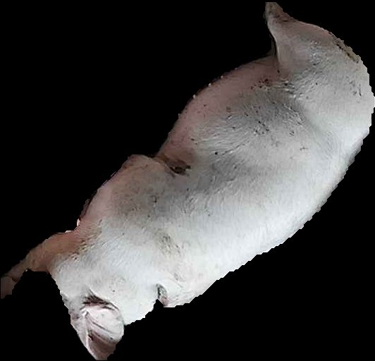 Crop