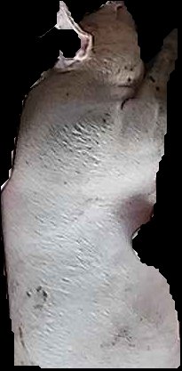 Crop