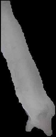 Crop