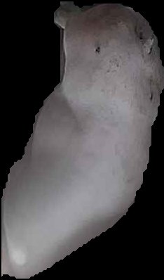 Crop