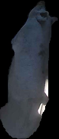 Crop