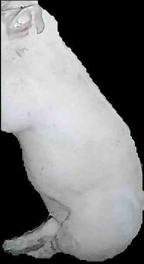 Crop
