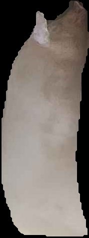 Crop