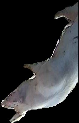 Crop