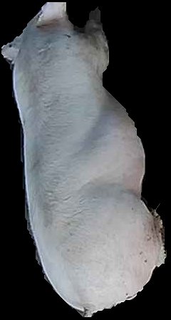 Crop