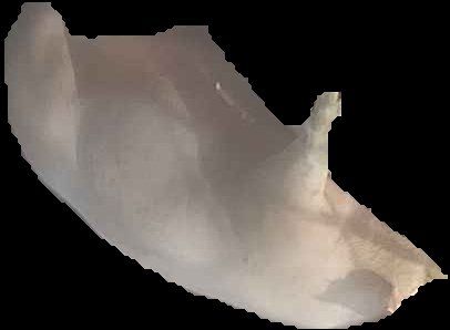 Crop