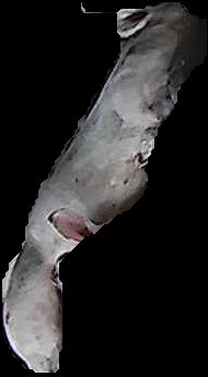 Crop
