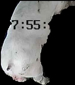 Crop