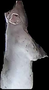 Crop