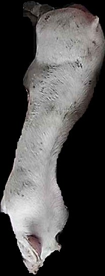 Crop