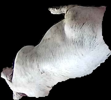 Crop