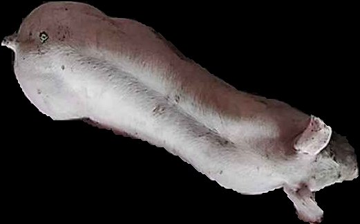 Crop