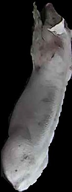 Crop